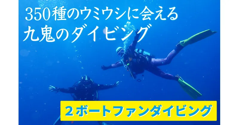 【ふるさと納税】350種の美しい ウミウシ が魅力 【 2ボートファンダイビング】 オールシーズン 海 ツアー マリンスポーツ 三重県 尾鷲市 九鬼 　DI-8