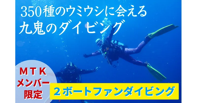 【ふるさと納税】350種の美しい ウミウシ が魅力 【 MTKメンバー限定 2ボートファンダイビング】 オールシーズン 海 ツアー マリンスポーツ 三重県 尾鷲市 九鬼 　DI-9