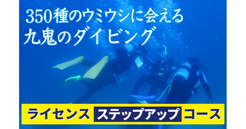 【ふるさと納税】350種の美しい ウミウシ が魅力 【 ライセンス ステップアップコース】 オールシーズン 海 ツアー マリンスポーツ 三重県 尾鷲市 九鬼 　DI-10