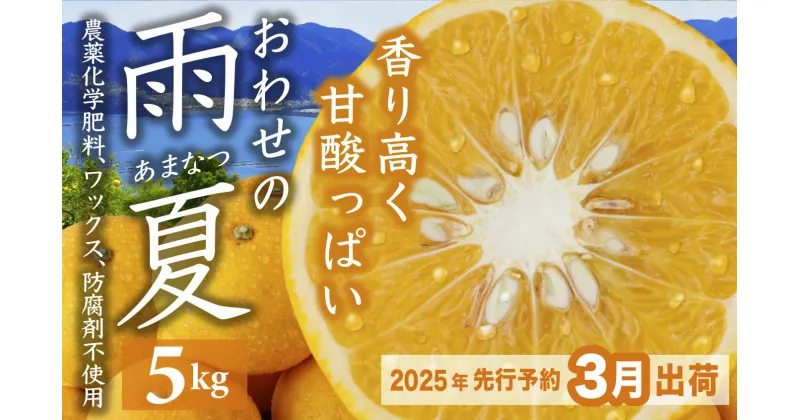 【ふるさと納税】【先行予約 3月出荷】 おわせの雨夏（あまなつ） 5kg　無農薬 ワックス・防腐剤不使用 木成り 完熟 甘夏 ギフト 贈答 日用 でも使える 三重 尾鷲 の 柑橘 特産品 TK-12