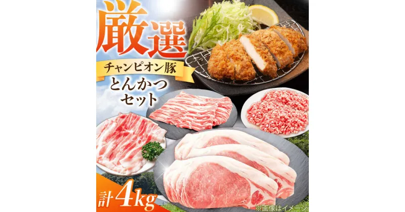 【ふるさと納税】三重県 亀山市 豚肉 とんかつ4kgセット 小林ファームが愛情こめて育てた三元豚 亀山市/小林ファーム 冷蔵 かつ 送料無料[AMAB015]