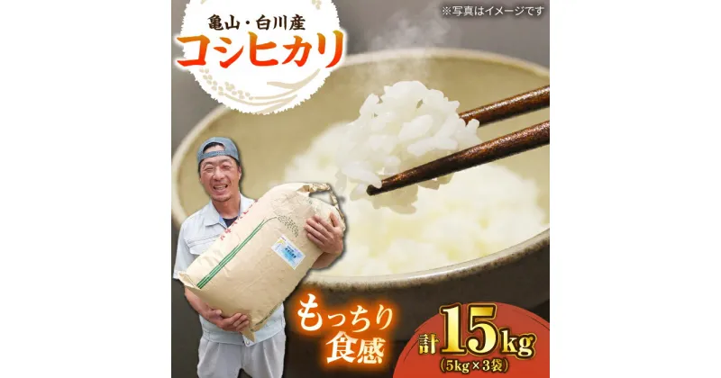 【ふるさと納税】「9月中発送可」おいしい！亀山・白川産コシヒカリ 15kg 亀山市/せせらぎの里営農組合 お米 コシヒカリ 送料無料[AMAX001]