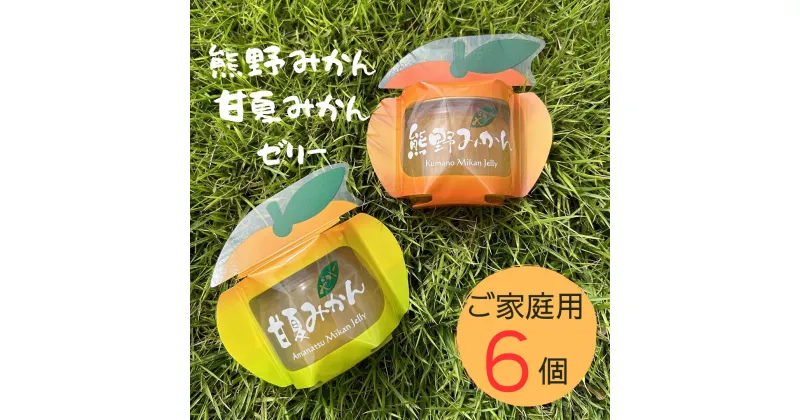 【ふるさと納税】みかん まるごと 熊野みかん&甘夏みかんゼリー 6個 包装なし 家庭用