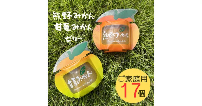 【ふるさと納税】みかん まるごと 熊野みかん&甘夏みかんゼリー 17個 包装なし 家庭用