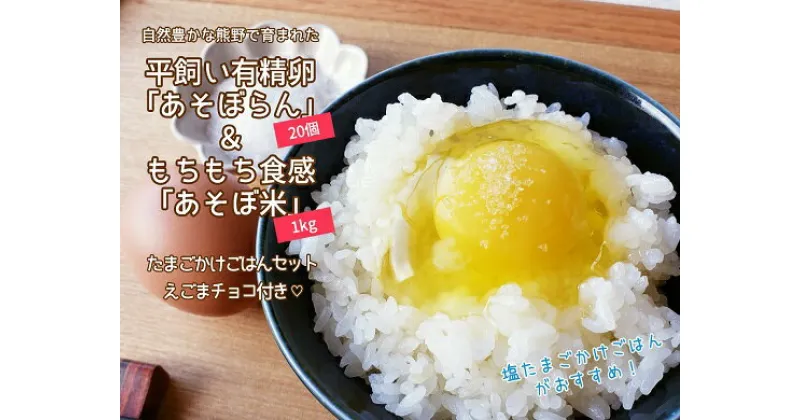 【ふるさと納税】たまごご飯セットA