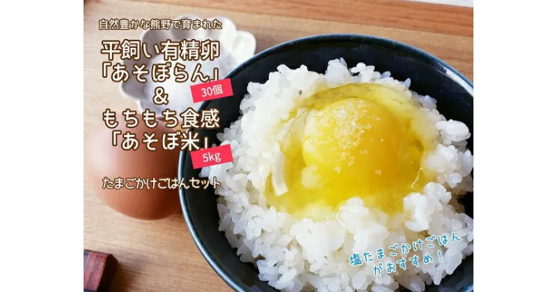 【ふるさと納税】たまごご飯セットB