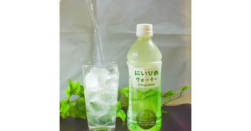 【ふるさと納税】乾いたカラダを潤す♪ にいひめウォーター 510ml × 24本 入