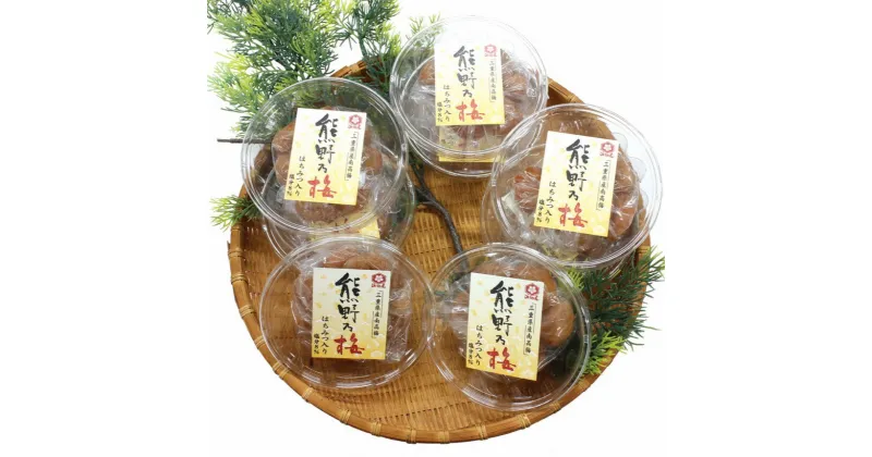 【ふるさと納税】 梅干し 熊野乃梅 はちみつ味 小分け 8パックセット 140g×8 三重 熊野市