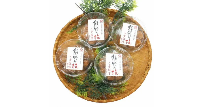 【ふるさと納税】 梅干し 熊野乃梅 うす塩 小分け 4パックセット 160g×4 三重 熊野市