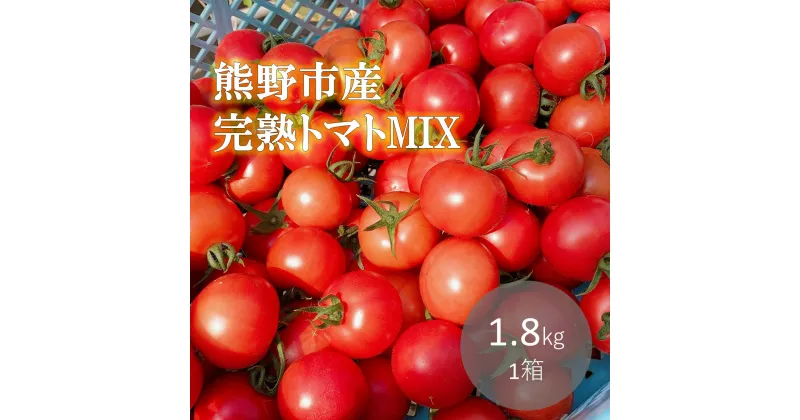 【ふるさと納税】【先行受付 2024年12月以降配送】熊野薬草園の トマト MIX（1.8kg） 冬限定 予約 トマト ミニトマト 完熟トマト おすすめとまと 野菜 甘い お楽しみ 熊野市