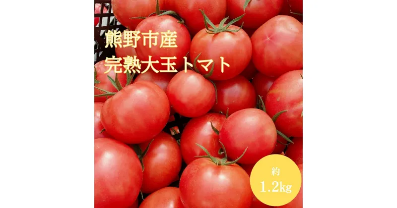 【ふるさと納税】【先行受付 2024年12月以降配送】熊野薬草園の 大玉トマト（1.2kg）トマト 完熟トマト 甘い 大きい 野菜 果肉が厚い 甘酸っぱい 甘い 冬限定 熊野市