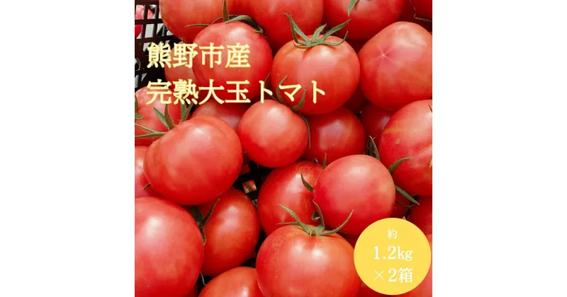 【ふるさと納税】【先行受付 2024年12月以降配送】熊野薬草園の 大玉トマト（1.2kg×2箱） トマト 大きい 完熟トマト 野菜 甘い 甘酸っぱい 冬限定 果肉が厚い 熊野市