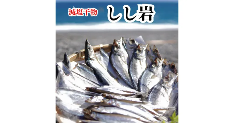 【ふるさと納税】香酸柑橘と海洋深層水で美味しく減塩　減塩干物セット【しし岩】