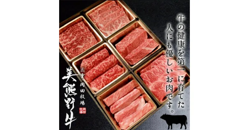 【ふるさと納税】希少和牛【美熊野牛】6種の部位が楽しめる 食べ比べ 焼肉セット カルビ ロース 赤身