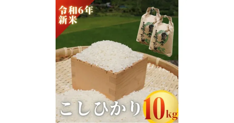 【ふるさと納税】【令和6年新米】熊野市育生町 恥ずかしがり屋のおじいちゃんが作った自慢のお米 10kg