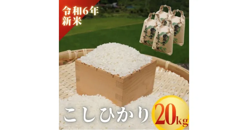 【ふるさと納税】寄附確認後即発送【令和6年新米】熊野市育生町 恥ずかしがり屋のおじいちゃんが作った自慢のお米 20kg