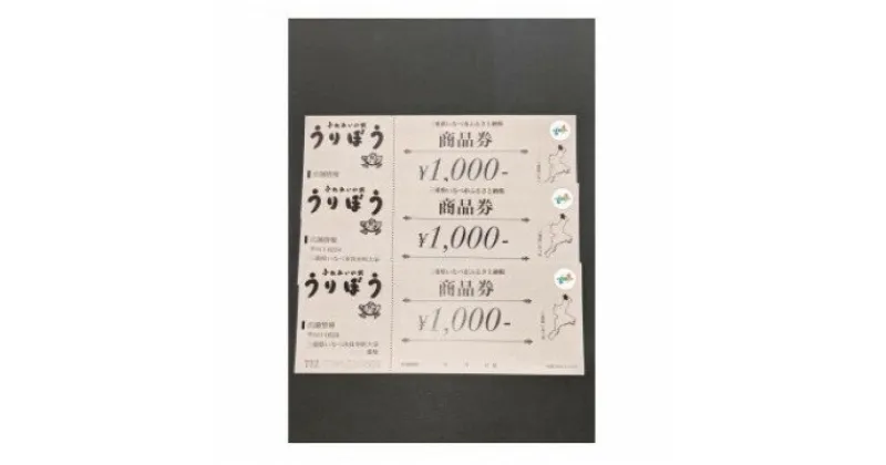 【ふるさと納税】うりぼう商品券 3000円分【1271265】