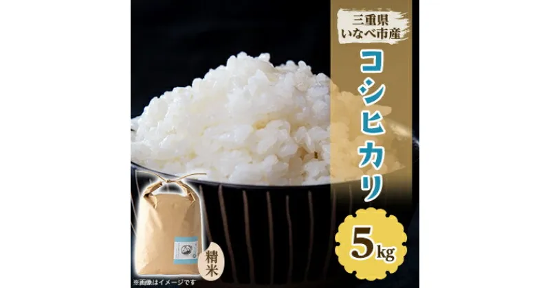 【ふるさと納税】令和6年産　コシヒカリ 5kg【1431741】