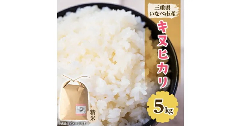 【ふるさと納税】令和6年産　キヌヒカリ 5kg【1431743】