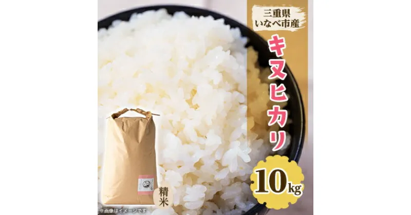 【ふるさと納税】令和6年産　キヌヒカリ 10kg【1431744】