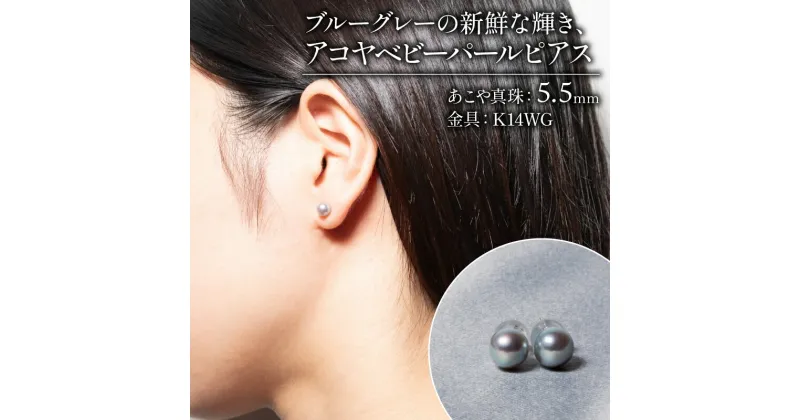 【ふるさと納税】 アコヤ真珠 5.5mm ピアス (K14) アクセサリー 真珠 パール あこや 冠婚葬祭 慶事 誕生日 結婚式 記念日 お祝い 贈答用 贈り物 ギフト 普段使い / ブルー グレー の新鮮な輝き、アコヤ ベビーパール ピアス