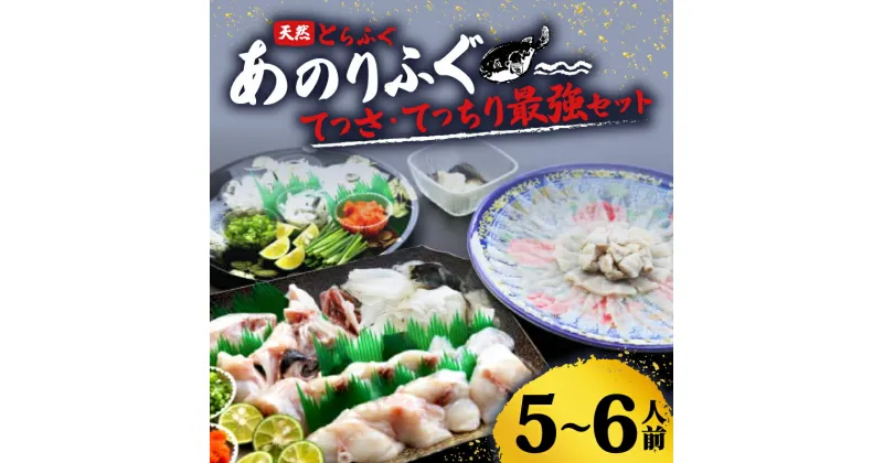 【ふるさと納税】 【2月22日まで！】ふぐ セット 2匹 5～6人前 冷蔵 鮮魚 海鮮 魚介 フグ刺し 冬 鍋 刺身 ふぐ刺身 天然 三重 伊勢志摩 志摩 あのりふぐ