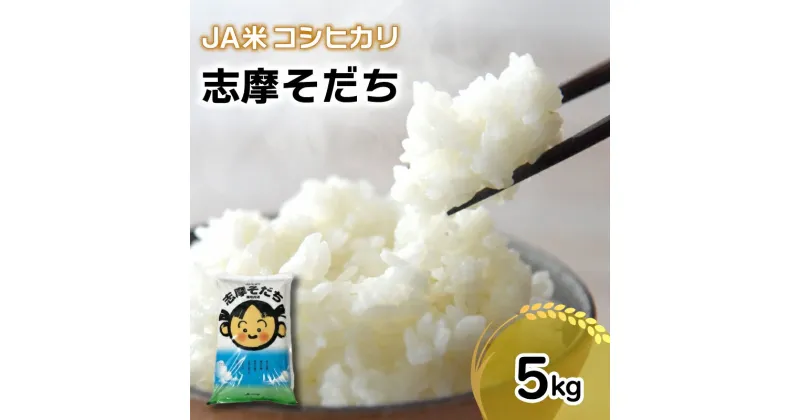 【ふるさと納税】 新米 コシヒカリ 5kg JA米「志摩そだち」 / 令和6年産 ブランド米 新米 米 白米 精米 コシヒカリ お米 5kg ご飯 伊勢 志摩 三重県 11000円 一万千円