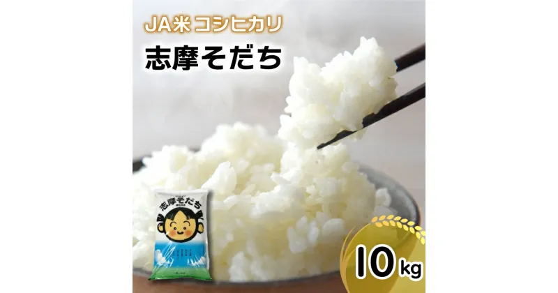 【ふるさと納税】 新米 コシヒカリ 10kg JA米「志摩そだち」 / 令和6年産 ブランド米 新米 米 白米 精米 コシヒカリ お米 10kg ご飯 伊勢 志摩 三重県 20000円 2万円 二万円