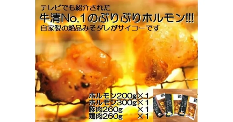 【ふるさと納税】 自家製 みそダレ Fセット 牛ホルモン 200g 300g×各1 豚肉 ×1 鶏肉 ×1/ 黒毛和牛ホルモン 牛清 バーベキュー BBQ キャンプ 牛肉 ぶた肉 とり肉 特製 味噌漬 味付 伊勢志摩