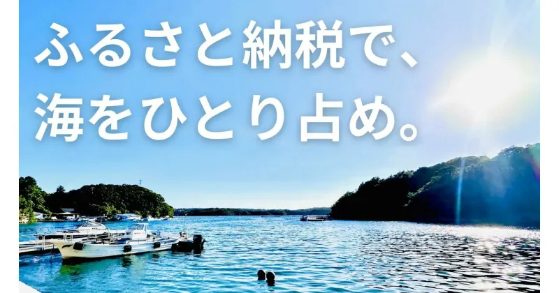 【ふるさと納税】 【志摩市を満喫！】デイキャンプ・うみらぼ一島貸し利用券（志摩観光プランニングサポート付き） / 貸し切り 貸切 キャンプ BBQ サウナ コワーキング 伊勢志摩 海 島 離島 旅行 チケット 日帰り グループ 団体 家族 ファミリー 友人 サークル 伊勢 志摩